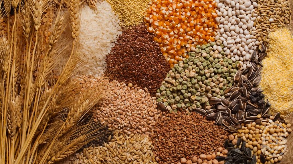 Экспортолсон ургамлын гаралтай бүтээгдэхүүний хэмжээ 183.5 мянган тоннд хүрэв